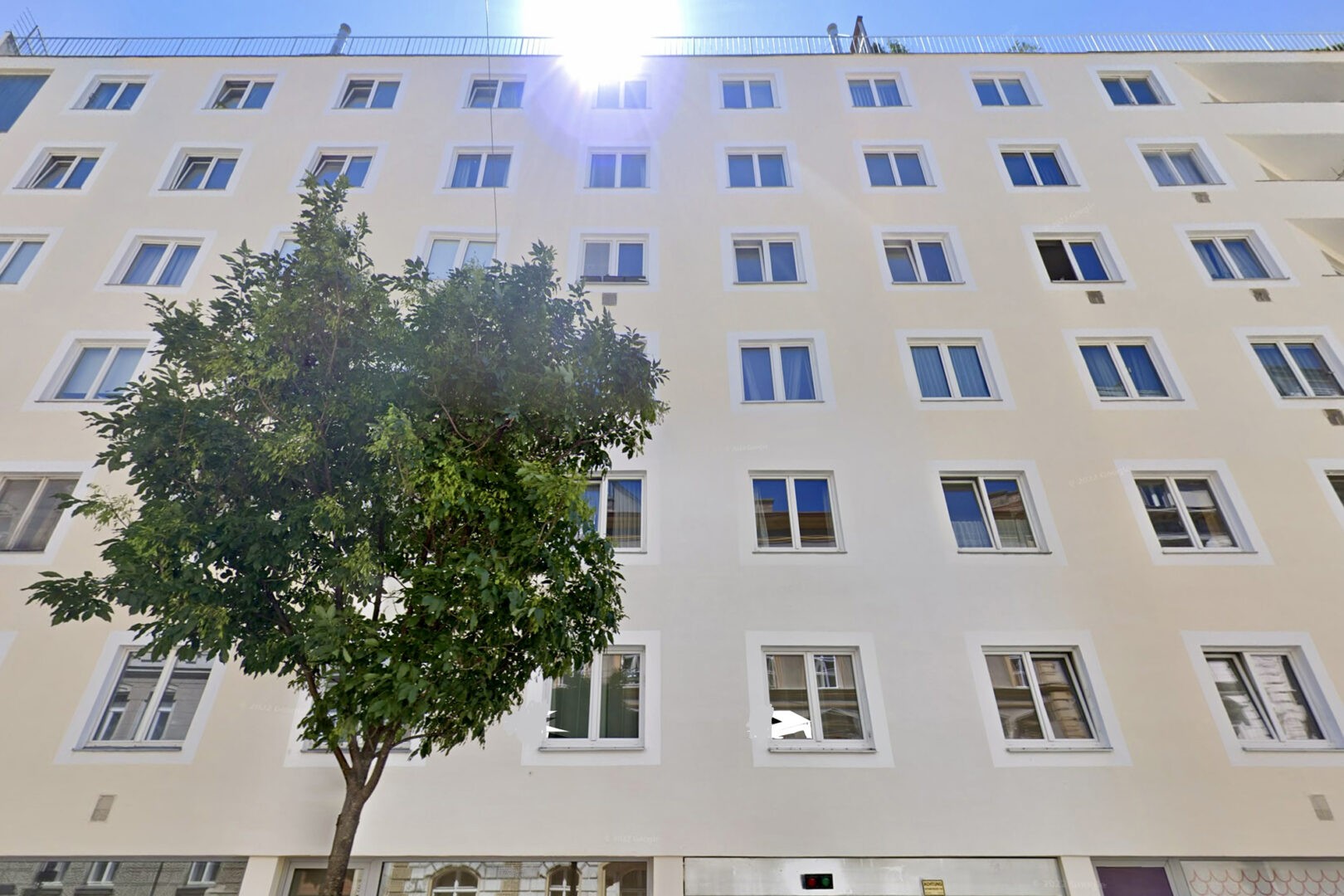 Ein zeitloses Wohnhaus in Wien mit einem Baum davor